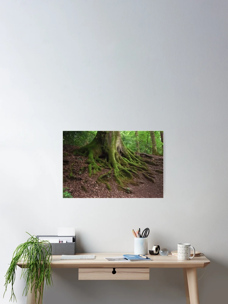 Thumbnail 2 of 3, Poster, Tree Roots designed and sold by Christine Lake.