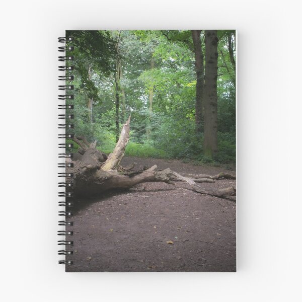 Item preview, Quietude designed and sold by Christine Lake.