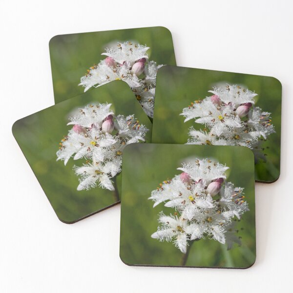 Item preview, Bog Beautiful!  designed and sold by Kasia Design.