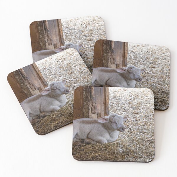 Item preview, Lamb Resting at Spruce Farm designed and sold by jrtwynam.