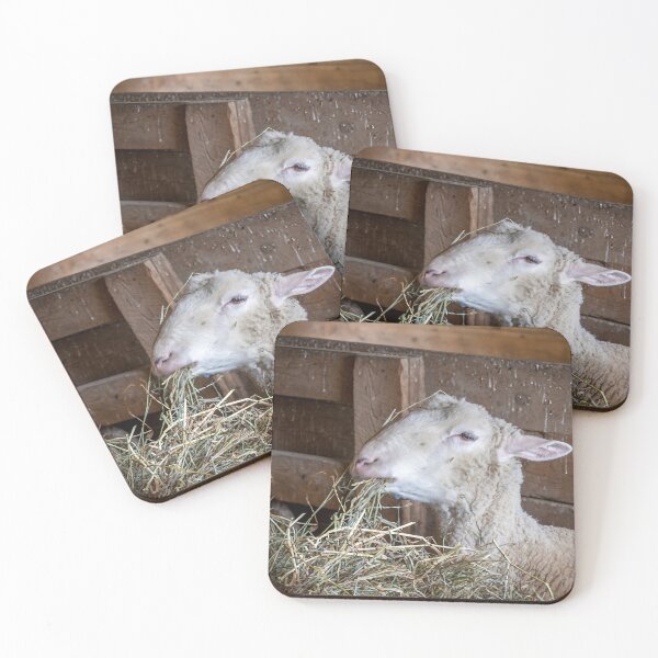 Item preview, Sheep Feeding at Spruce Farm 1 designed and sold by jrtwynam.
