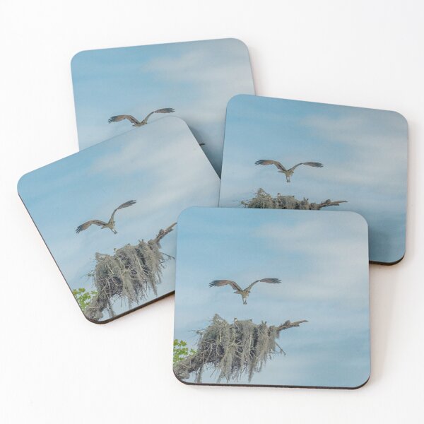 Item preview, Food Delivery for Baby Chicks designed and sold by Ruth Curtis.