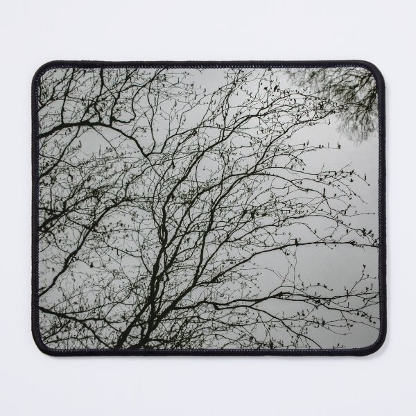 Item preview, Still Water Reflections designed and sold by Christine Lake.