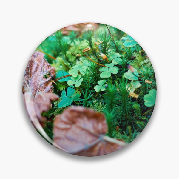 Item preview, Quiet forest clearing designed and sold by beatbieri.ch.