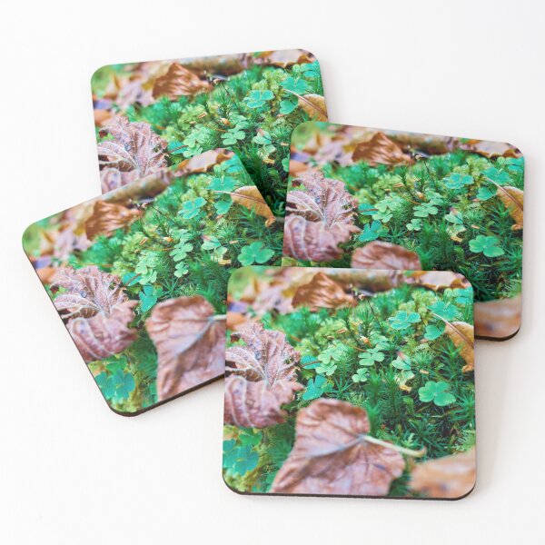 Item preview, Quiet forest clearing designed and sold by beatbieri.ch.