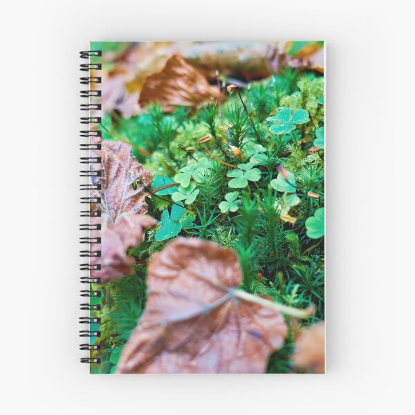 Item preview, Quiet forest clearing designed and sold by beatbieri.ch.