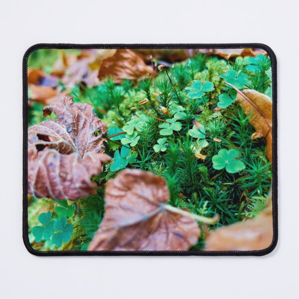 Item preview, Quiet forest clearing designed and sold by beatbieri.ch.