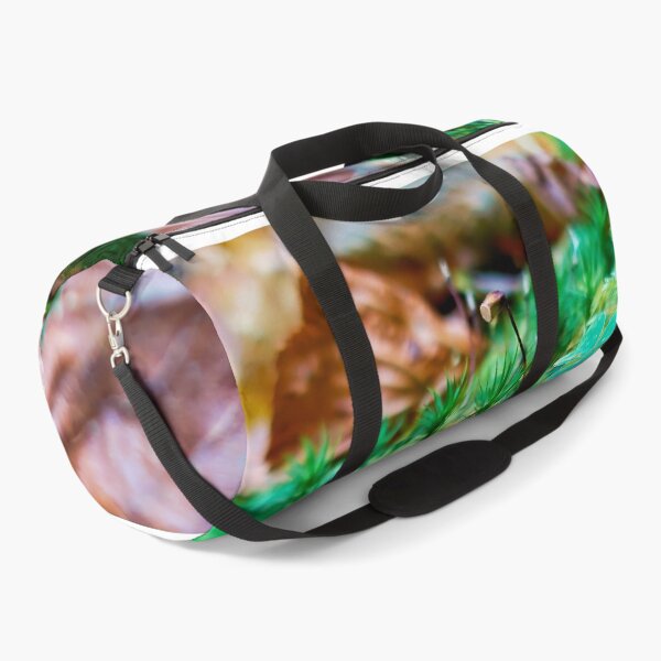 Item preview, Quiet forest clearing designed and sold by beatbieri.ch.