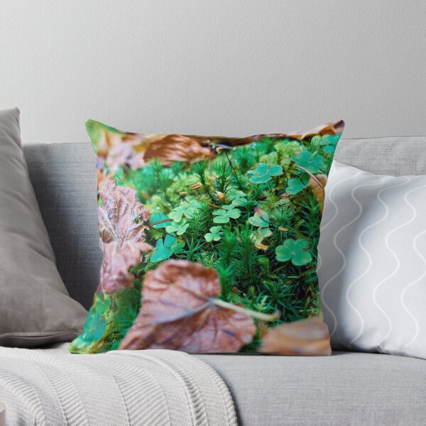 Item preview, Quiet forest clearing designed and sold by beatbieri.ch.