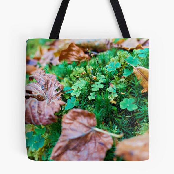Item preview, Quiet forest clearing designed and sold by beatbieri.ch.