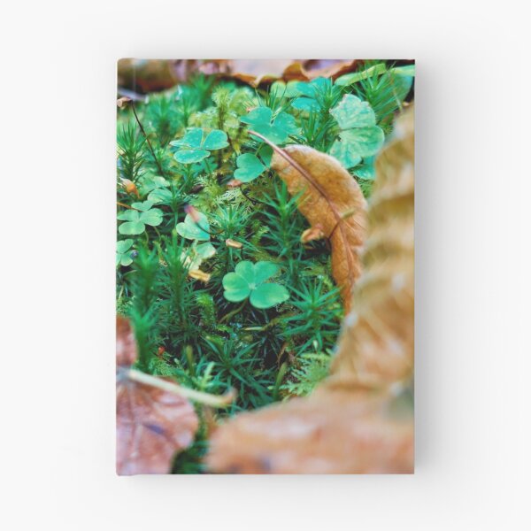 Item preview, Quiet forest clearing designed and sold by beatbieri.ch.