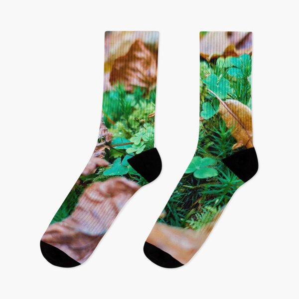 Item preview, Quiet forest clearing designed and sold by beatbieri.ch.