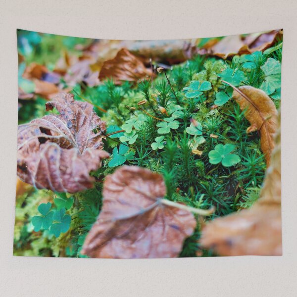 Item preview, Quiet forest clearing designed and sold by beatbieri.ch.