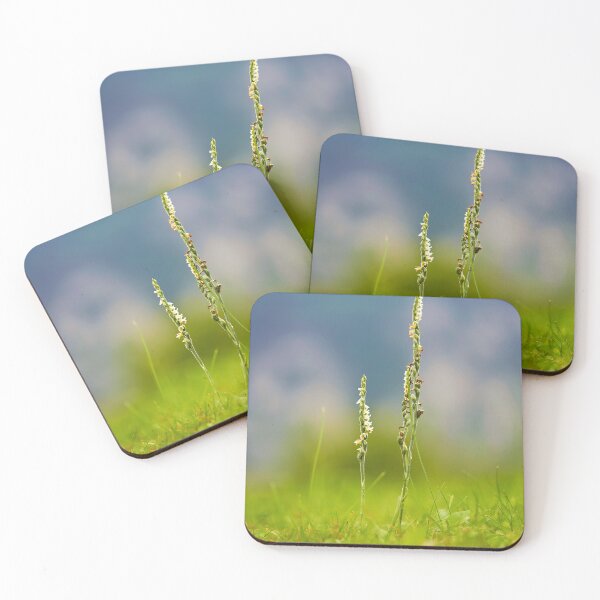 Item preview, Two grasses in focus designed and sold by beatbieri.ch.