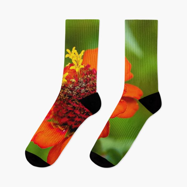 Item preview, Zinnia in full bloom designed and sold by beatbieri.ch.