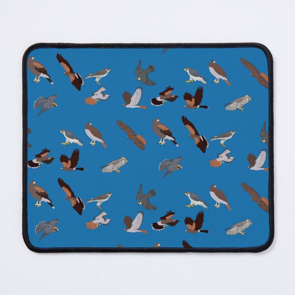 Item preview, Hawks and Falcons Pack designed and sold by Leapingdoe.