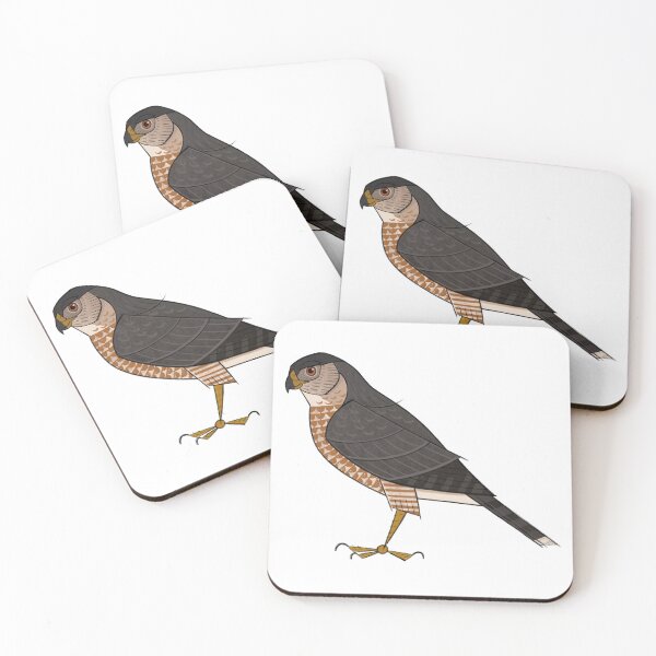 Item preview, Cooper's Hawk (Transparent)  designed and sold by BlueBowMimid.
