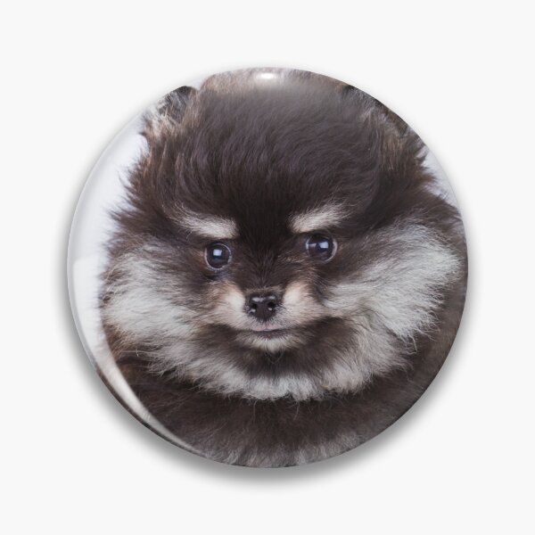 Item preview, Pomeranian attitude designed and sold by Between-E-S-I.
