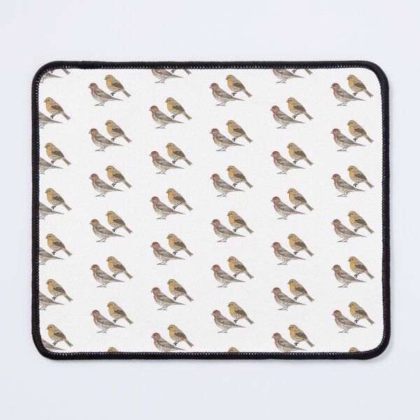 Item preview, House Finches (Transparent)  designed and sold by BlueBowMimid.