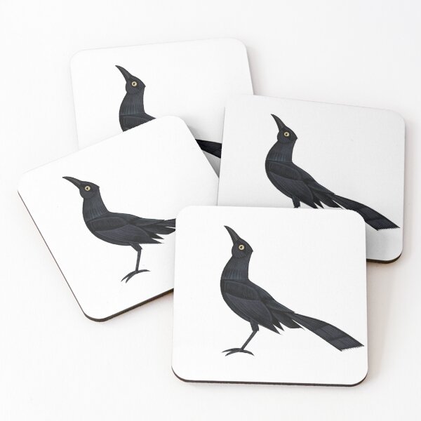 Item preview, Great-tailed Grackle (Transparent)  designed and sold by BlueBowMimid.