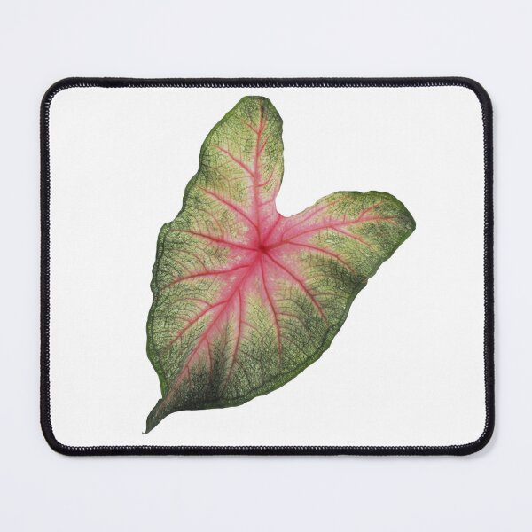 Item preview, caladium botanical plant sticker designed and sold by inainart.