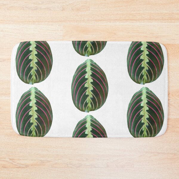 Item preview, maranta leaf botanical plant sticker designed and sold by inainart.