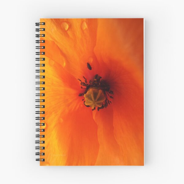 Item preview, Fire Poppy by Raz designed and sold by MeyrellesMartin.