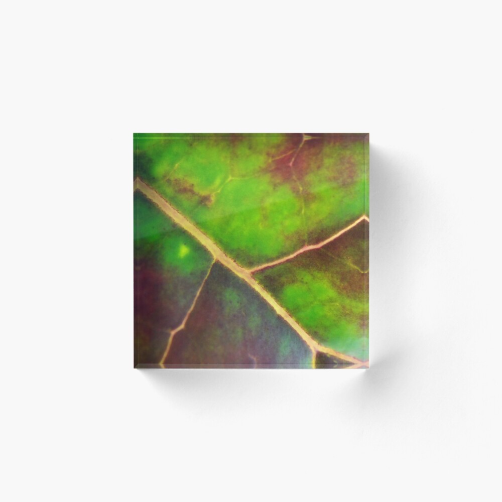 Item preview, Acrylic Block designed and sold by MeyrellesMartin.