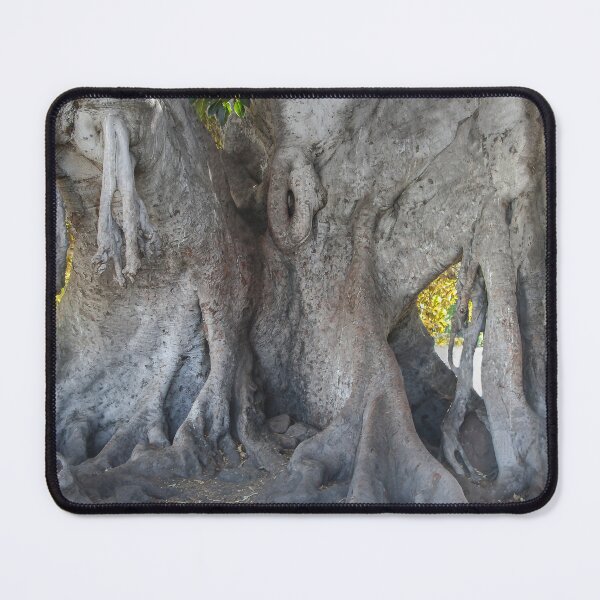 Item preview, Mother Nature's Favorite Tree designed and sold by heatherfriedman.
