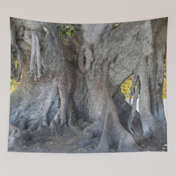 Item preview, Mother Nature's Favorite Tree designed and sold by heatherfriedman.