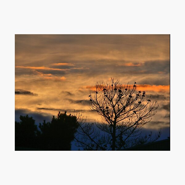 Item preview, Silhouette on an Ochre Sky designed and sold by Larry Davis.