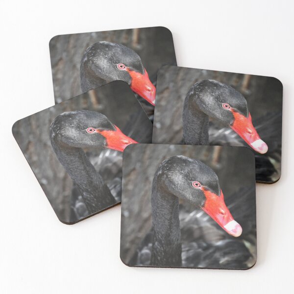 Item preview, Beautiful black swan designed and sold by Myrarte.