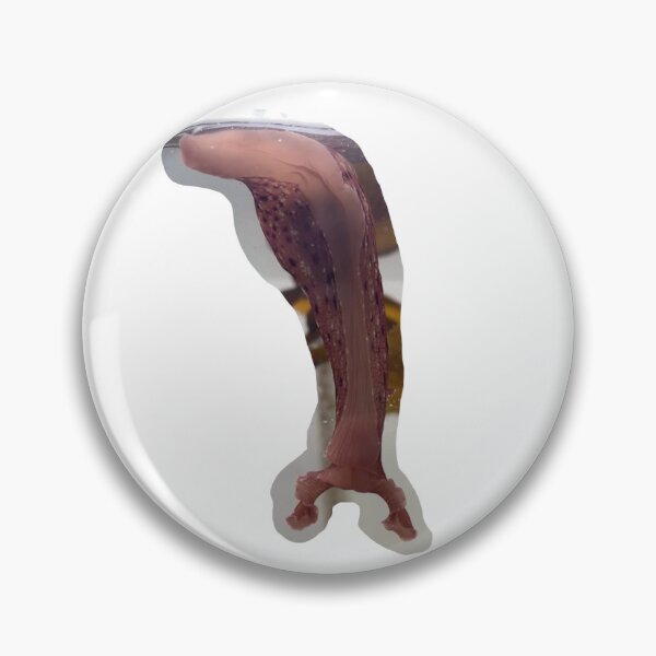 Item preview, Red Sea hare designed and sold by erturk.jpeg.