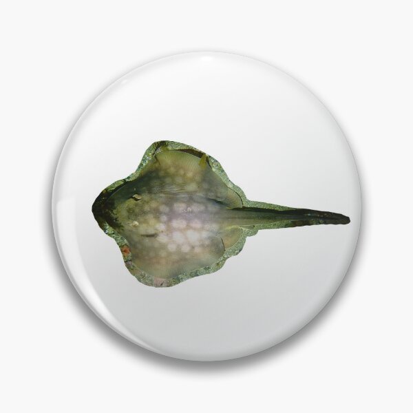 Item preview, Round sting ray designed and sold by erturk.jpeg.