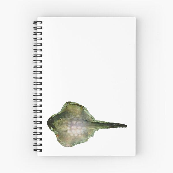 Item preview, Round sting ray designed and sold by erturk.jpeg.
