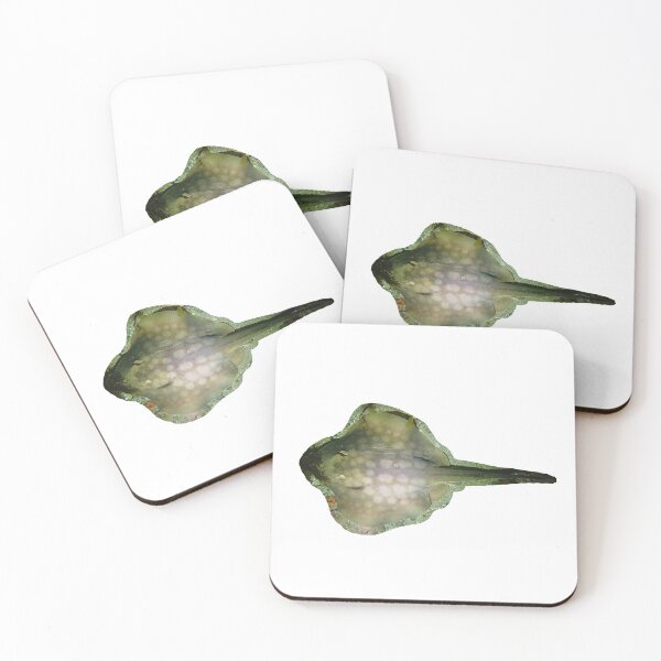 Item preview, Round sting ray designed and sold by erturk.jpeg.