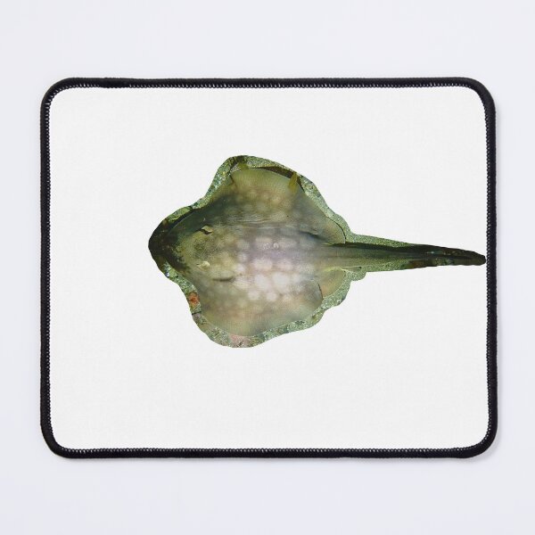 Item preview, Round sting ray designed and sold by erturk.jpeg.