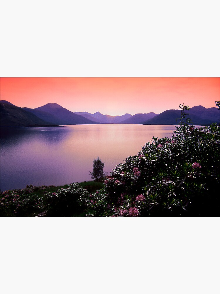 Gloaming (1) by Shuggie