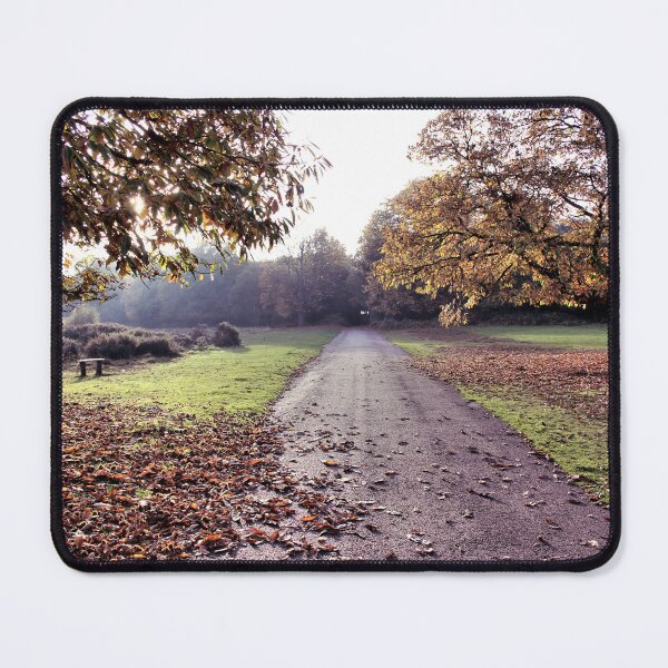 Item preview, Autumn in Sutton Park designed and sold by Rachel J Bowler.