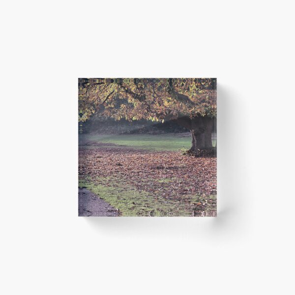 Item preview, Autumn Leaves designed and sold by Rachel J Bowler.