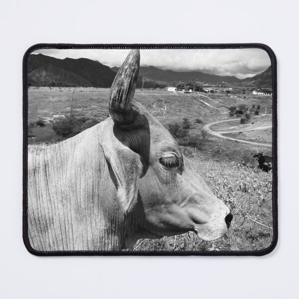 Item preview, Bull head in black and white designed and sold by Javier Narváez Solarte.