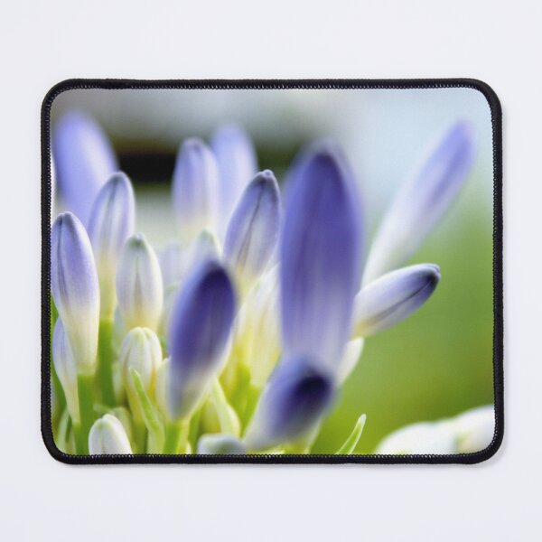 Item preview,  Believe  designed and sold by equilibrio.