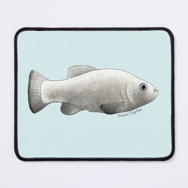 Item preview, Potosi Pupfish Painting designed and sold by Meganemer4.