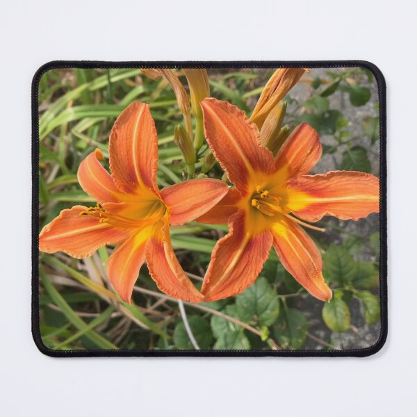 Item preview, Tiger Lilies  designed and sold by Amanda1775.
