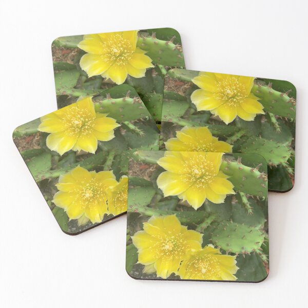 Item preview, Yellow Cactus Flowers  designed and sold by Amanda1775.