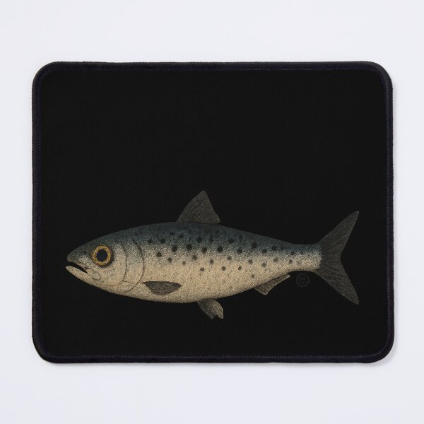 Item preview, Sardine - Vintage Japanese Art - Fish designed and sold by Kabuji Store.