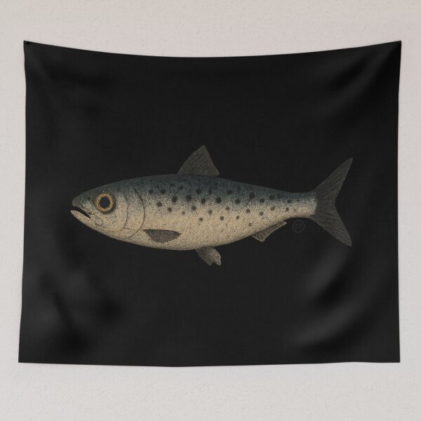 Item preview, Sardine - Vintage Japanese Art - Fish designed and sold by Kabuji Store.