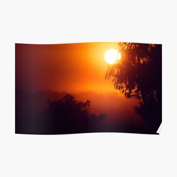 Silhouettes in the Mist Poster