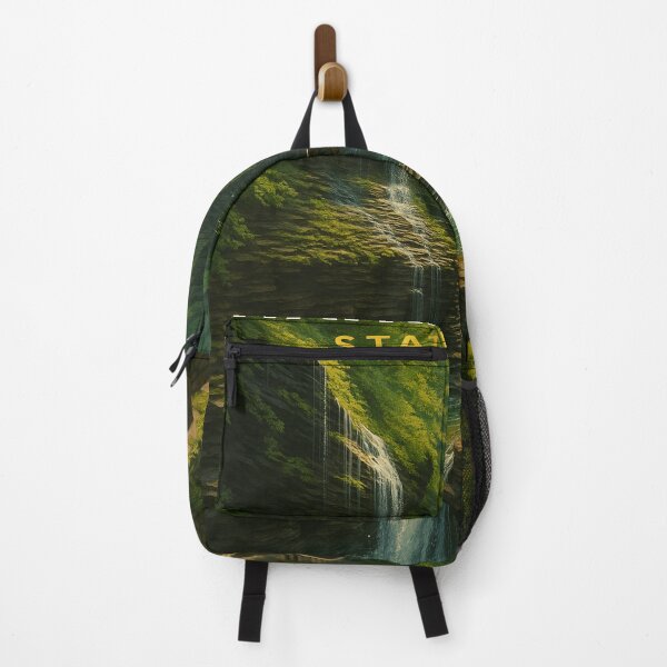 Item preview, Watkins Glen State Park – Gorge Trail and Cascading Falls designed and sold by Places On Earth.