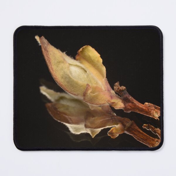 Item preview, Tea Bud Macro – Pu-erh Leaf Detail designed and sold by Goiko7Margarita.